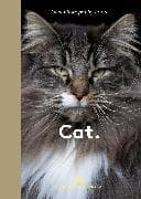 New Photography of the Cat
