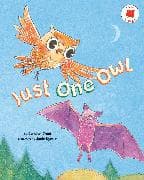 Just One Owl