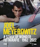 Joel Meyerowitz: A Sense of Wonder (Bilingual edition)