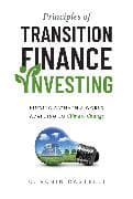 Principles of Transition Finance Investing