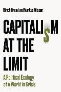 Capitalism at the Limit
