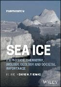 Sea Ice