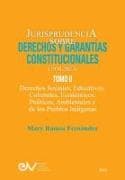 JURISPRUDENCIA SOBRE DERECHOS Y GARANTÍAS CONSTITUCIONALES. 1930-2023. TOMO II. Derechos sociales, educativos, culturales, económicos, políticos, ambientales y de los pueblos indígenas