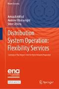 Distribution System Operation: Flexibility Services