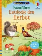 Usborne Minis – Naturführer: Entdecke den Herbst