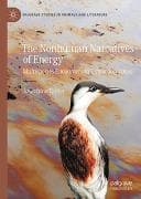 The Nonhuman Narratives of Energy