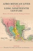 Afro-Mexican Lives in the Long Nineteenth Century