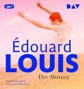Der Absturz