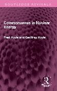Commonsense in Nuclear Energy