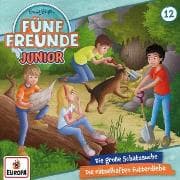 Fünf Freunde Junior 12: Die große Schatzsuche / Die rätselhaften Futterdiebe