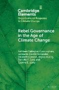 Rebel Governance in the Age of Climate Change