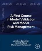 A First Course in Model Validation and Model Risk Management