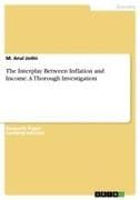 The Interplay Between Inflation and Income. A Thorough Investigation