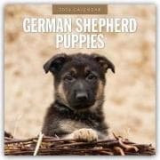 German Shepherd Puppies - Deutsche Schäferhunde Welpen 2026 - 16-Monatskalender
