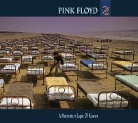 A Momentary Lapse of Reason