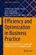 Efficiency and Optimization in Business Practice
