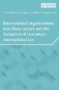International Organisations, Non-State Actors, and the Formation of Customary International Law