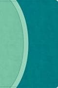 CSB Rainbow Study Bible, Teal Leathertouch (Limited Edition)