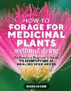 How to Forage for Medicinal Plants without Dying