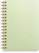 Burde Notizbuch A5 grün