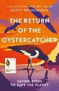 The Return of the Oystercatcher