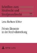 Private Elemente in der Strafvollstreckung