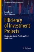 Efficiency of Investment Projects