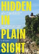 Hidden in Plain Sight