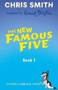 The New Famous Five: New Famous Five book 3