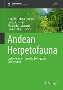 Andean Herpetofauna
