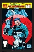 Punisher Epic Collection: Survival