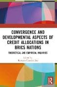 Convergence and Developmental Aspects of Credit Allocations in BRICS Nations