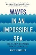 Waves in an Impossible Sea