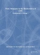 From Molecules to the Biochemistry of Cells
