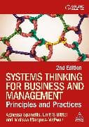 Systems Thinking for Business and Management