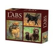 Just Labs 2026 Box Calendar