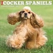 Cocker Spaniels 2026 Wall Calendar