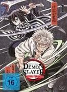 Demon Slayer: Kimetsu no Yaiba Hashira Training Arc - Vol.1 - [DVD]