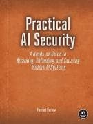 Practical AI Security