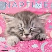 Naptime: A Cat's Favorite Pastime 2026 Wall Calendar
