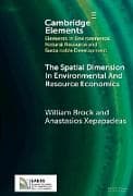 The Spatial Dimension In Environmental and Resource Economics