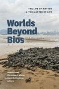 Worlds Beyond BIOS