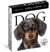 Dog Page-A-Day® Gallery Calendar 2027