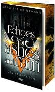 Echoes of Ashes and Rain - Die Perfekten