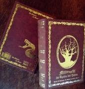 Im Schatten der Hexen V