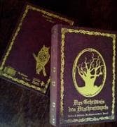 Im Schatten der Hexen VIII