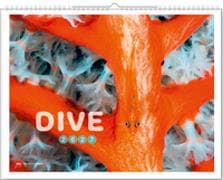 Dive 2027