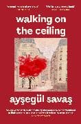 Walking on the Ceiling