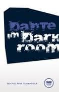 Dante im Darkroom