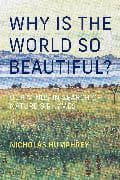 Why Is the World So Beautiful?